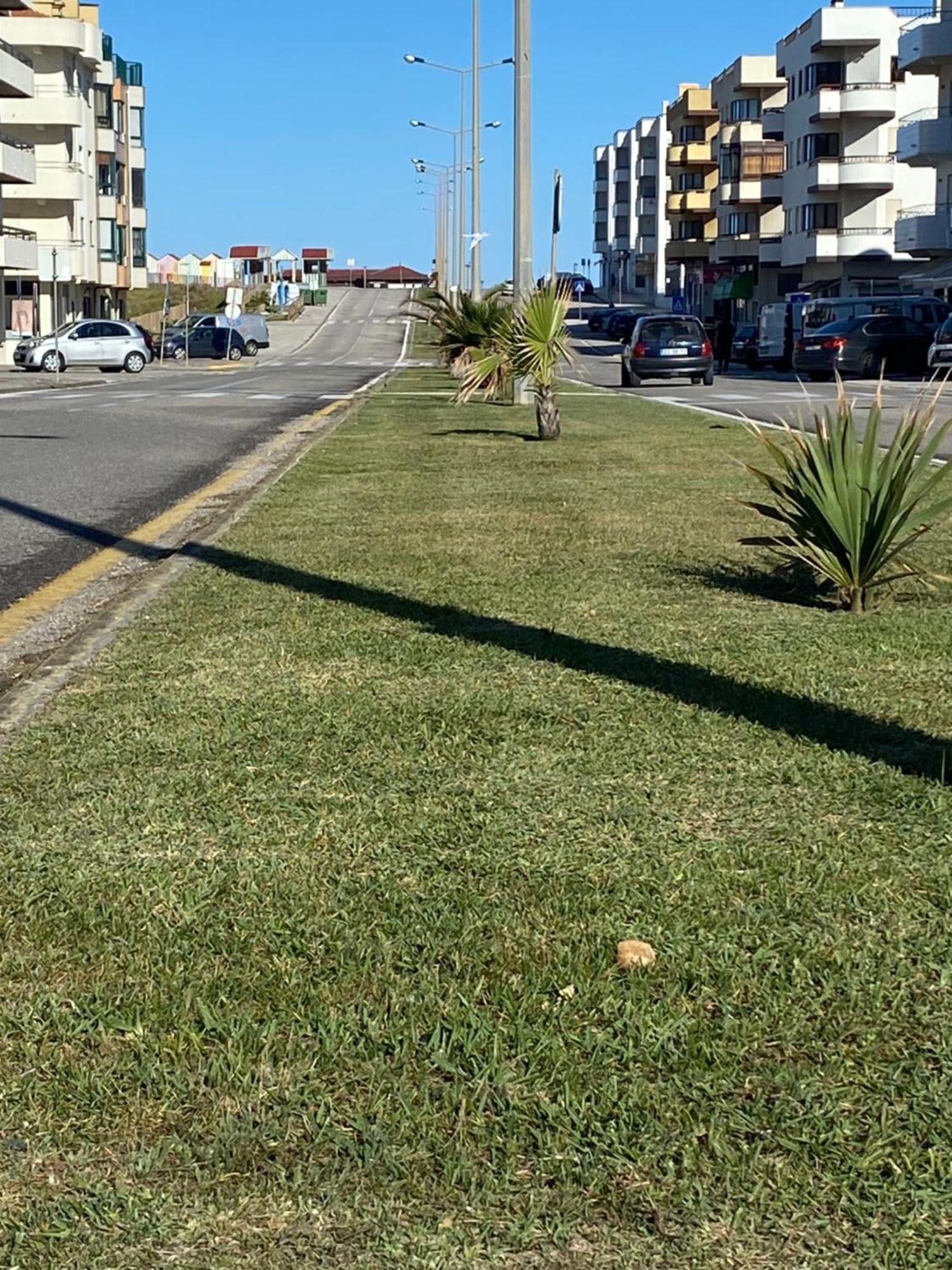 Appartamento Apartamento Frente Mar Vieira de Leiria Esterno foto